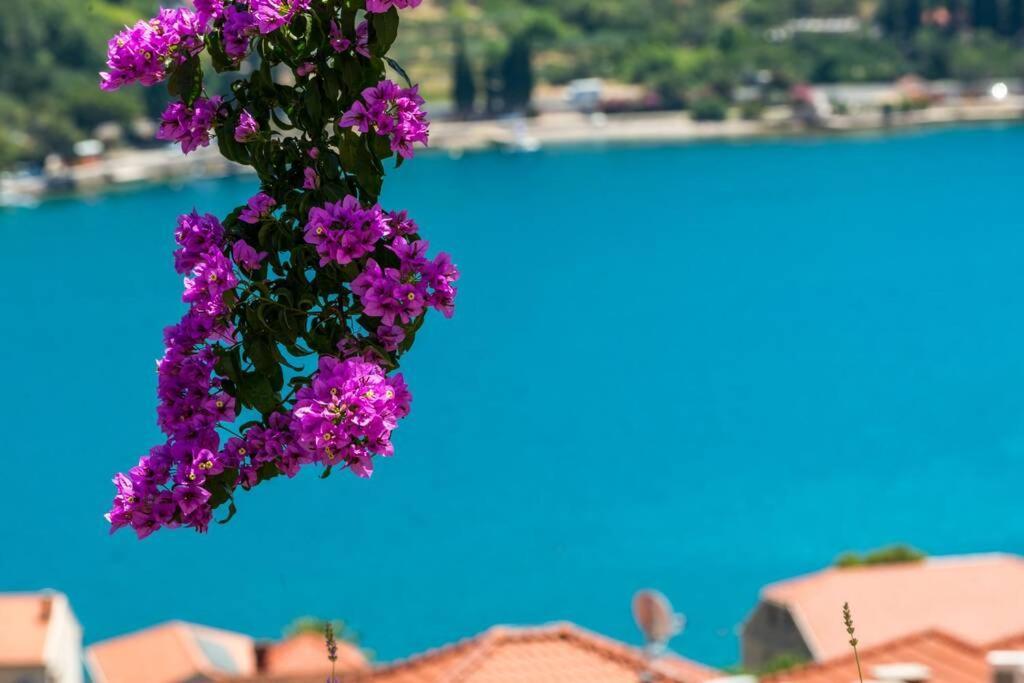 Villa Mardia- Sea View Infinity Pool Built 2023 Zaton  Zewnętrze zdjęcie